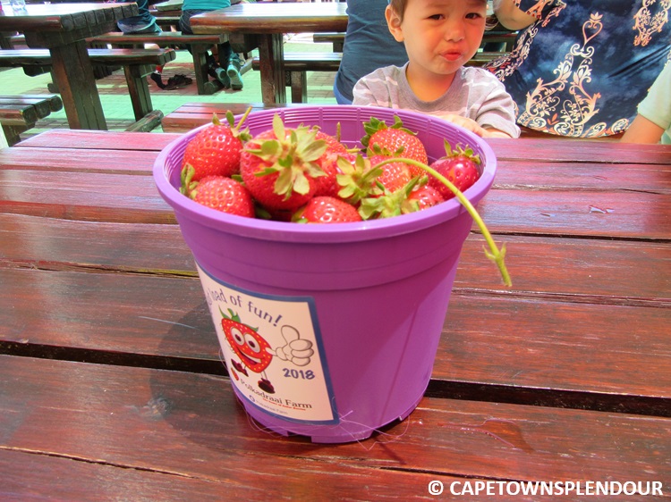 strawberries
