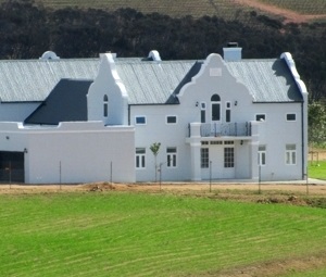 Cape Dutch darling